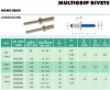 Picture of Dome Head Multi Grip Rivets (Aluminium/Steel)